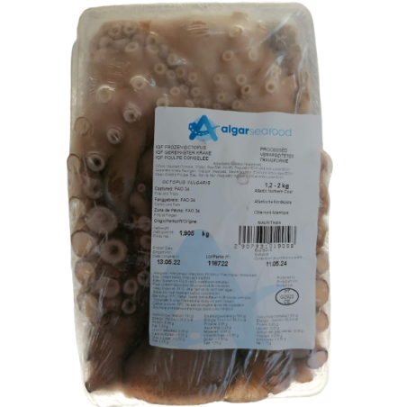 Octopus Pulpo 2-3Kg 